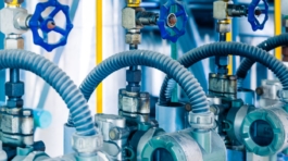 Design sem nome (13)