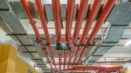 Design sem nome (14)